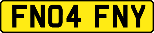 FN04FNY