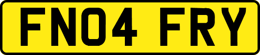 FN04FRY
