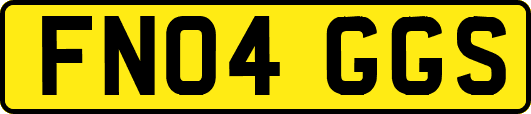 FN04GGS