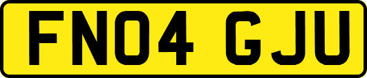 FN04GJU