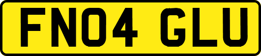 FN04GLU