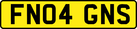 FN04GNS