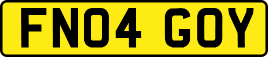FN04GOY