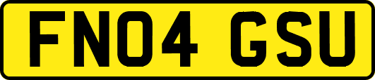 FN04GSU