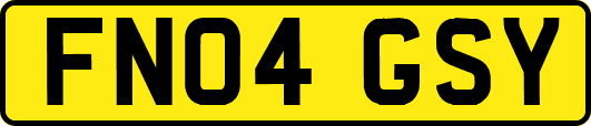 FN04GSY