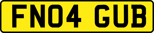 FN04GUB