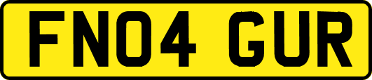 FN04GUR