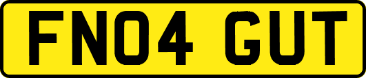 FN04GUT