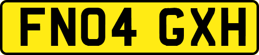 FN04GXH