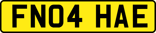 FN04HAE