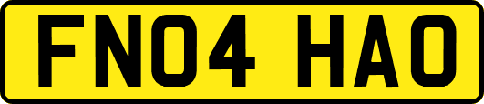 FN04HAO