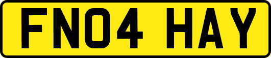 FN04HAY