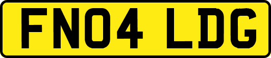 FN04LDG