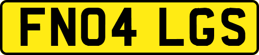 FN04LGS