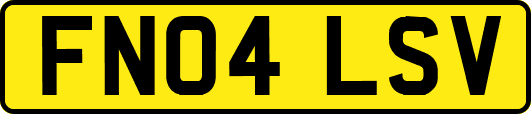 FN04LSV