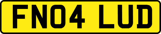FN04LUD