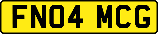 FN04MCG