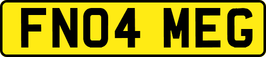 FN04MEG
