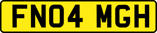 FN04MGH