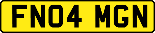 FN04MGN