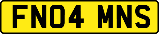 FN04MNS