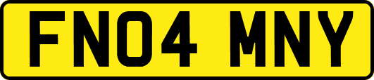 FN04MNY