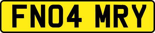 FN04MRY