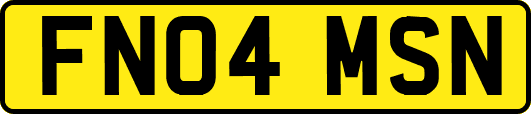 FN04MSN