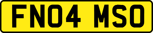 FN04MSO