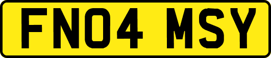 FN04MSY