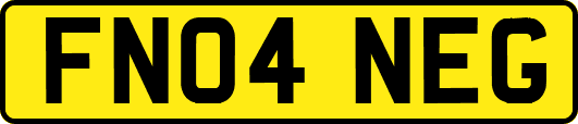 FN04NEG