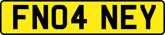 FN04NEY