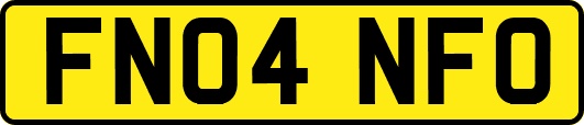 FN04NFO