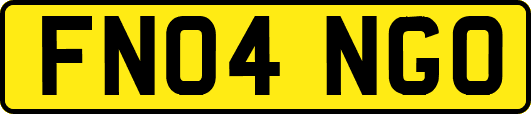 FN04NGO
