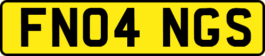 FN04NGS