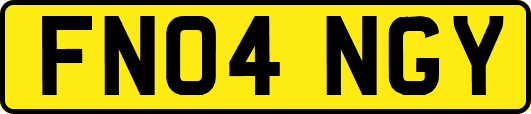 FN04NGY