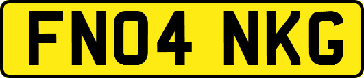 FN04NKG