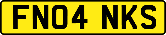 FN04NKS