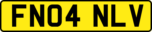 FN04NLV