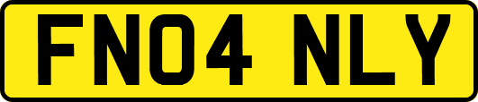 FN04NLY