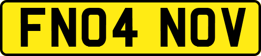 FN04NOV