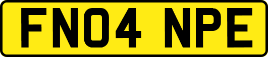 FN04NPE
