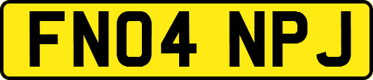 FN04NPJ