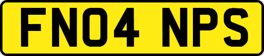 FN04NPS