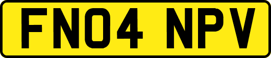 FN04NPV