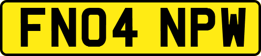 FN04NPW