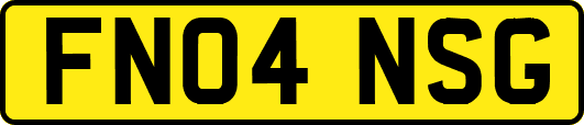 FN04NSG