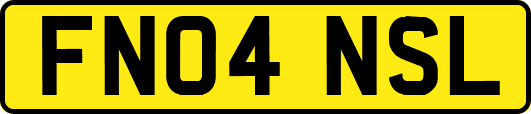 FN04NSL