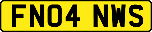 FN04NWS