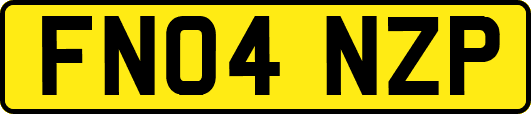 FN04NZP